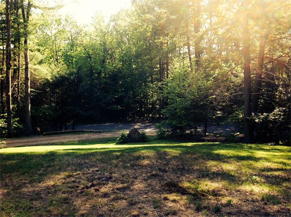 82 Shaw Road Goshen, MA 01330 - Photo 29 of 29 a view of yard with swimming pool and green space
