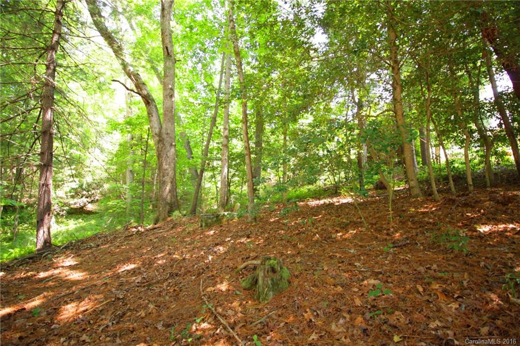 V26 Camp Sapphire Road Brevard, NC 28712 - Photo 2 of 21 a backyard of a house with lots of green space