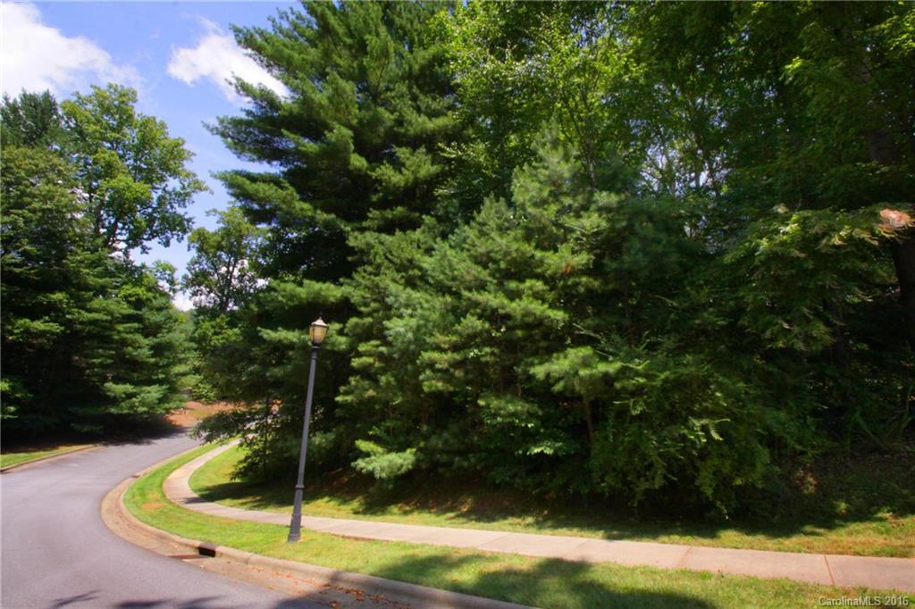 V26 Camp Sapphire Road Brevard, NC 28712 - Photo 3 of 21 a view of a yard