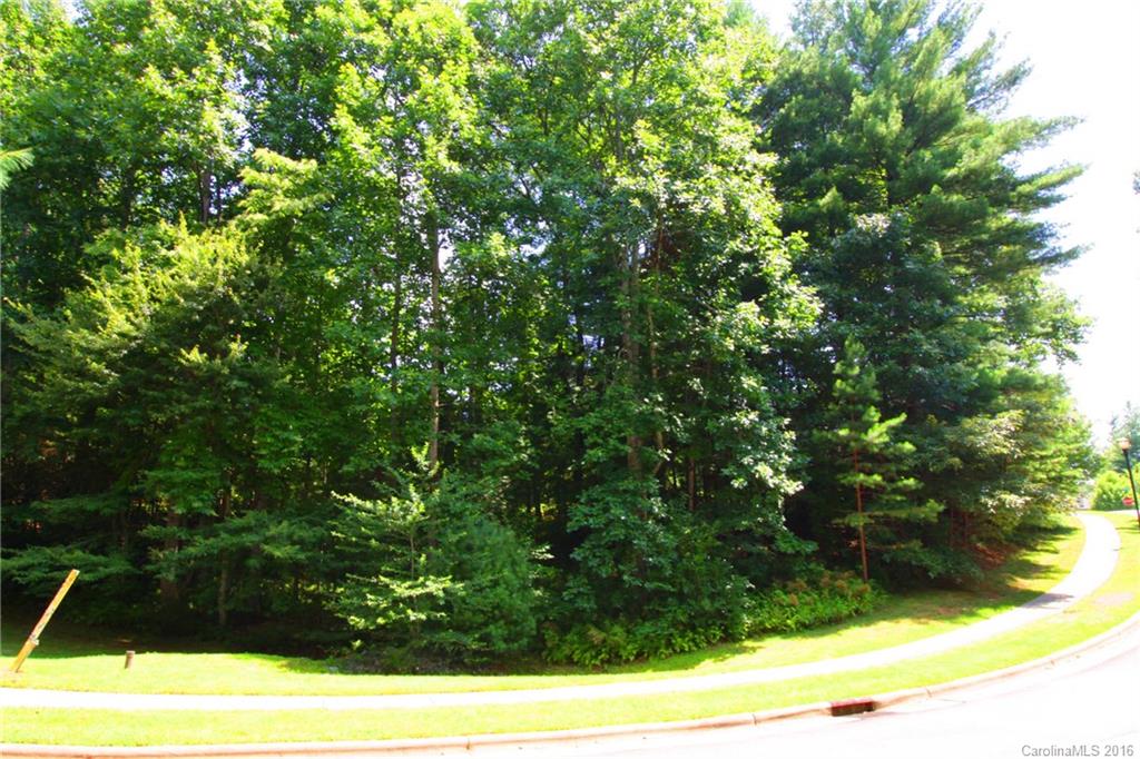 V26 Camp Sapphire Road Brevard, NC 28712 - Photo 5 of 21 a view of yard with green space