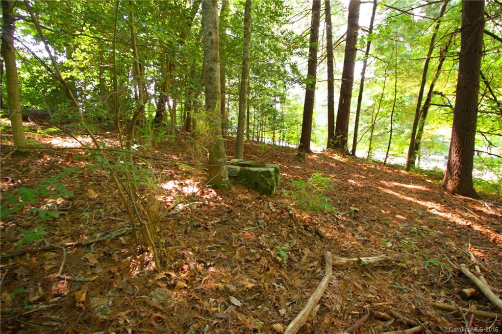 V26 Camp Sapphire Road Brevard, NC 28712 - Photo 6 of 21 a view of yard