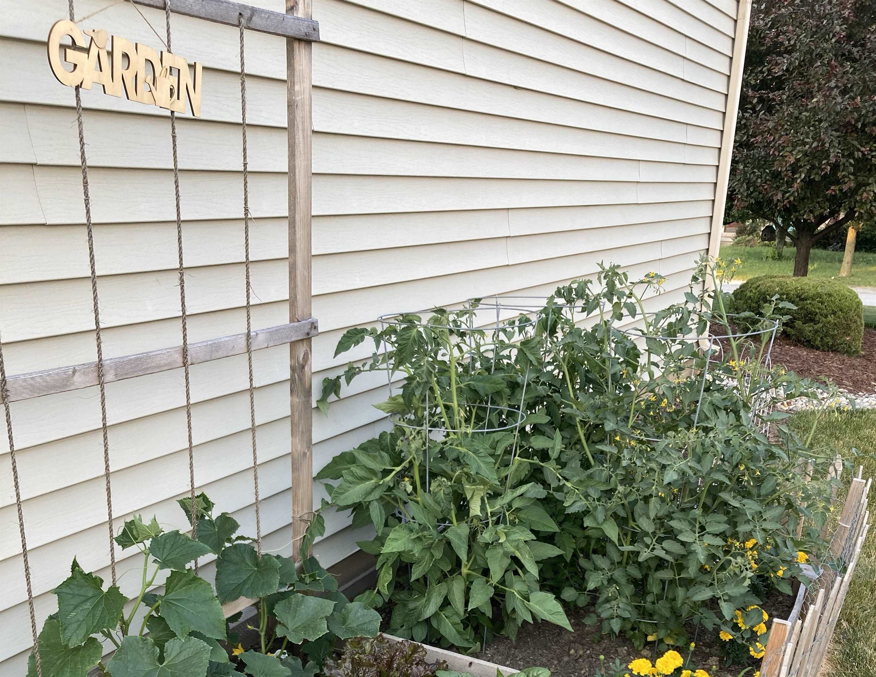 8915 Goshawk Lane Fort Wayne, IN 46825 - Photo 34 of 34