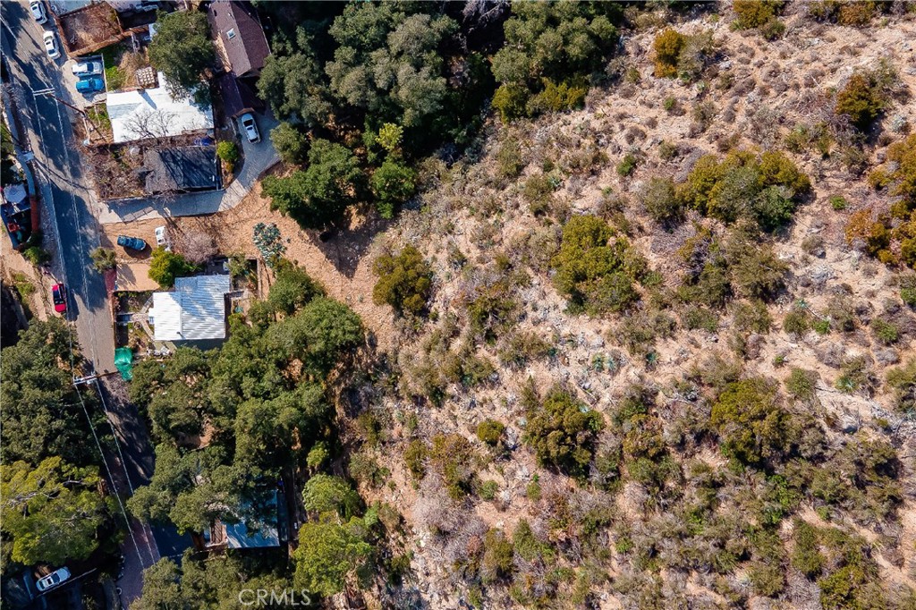 0 Park Trail Tujunga, CA 91042 - Photo 11 of 14 a view of a city with flower plants