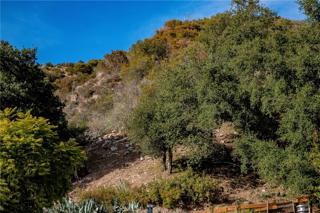 0 Park Trail Tujunga, CA 91042 - Photo 14 of 14 a view of a field with a tree
