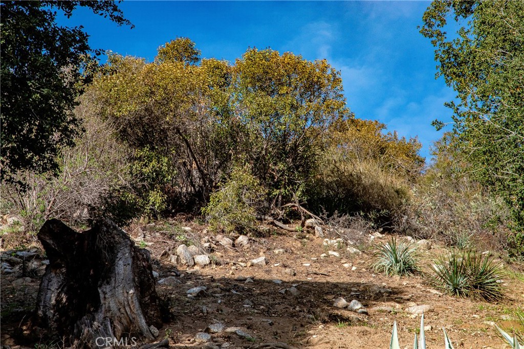 0 Park Trail Tujunga, CA 91042 - Photo 2 of 14
