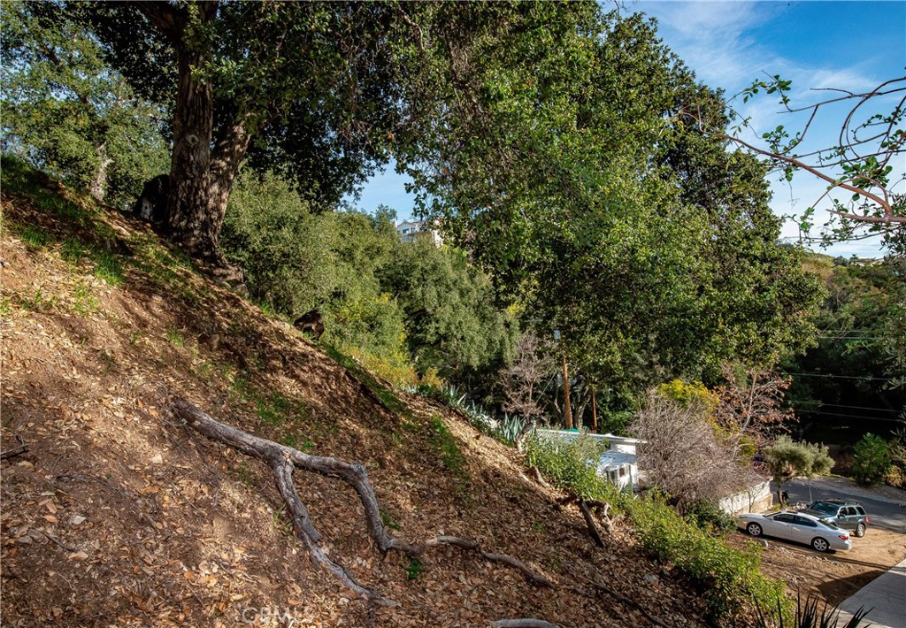 0 Park Trail Tujunga, CA 91042 - Photo 5 of 14 a view of a forest with lots of trees