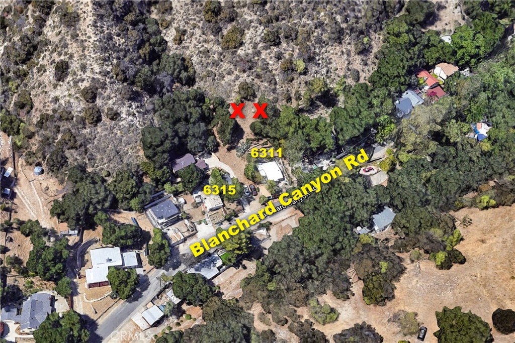 0 Park Trail Tujunga, CA 91042 - Photo 8 of 14 a picture of flowers