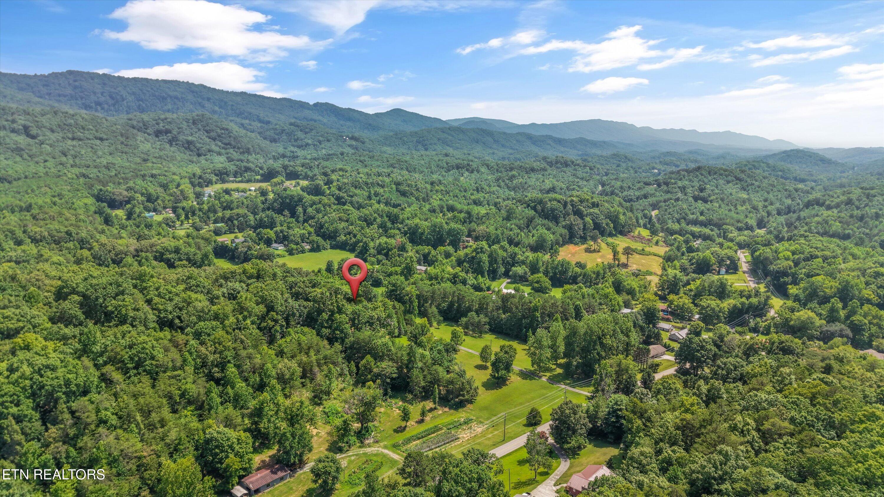 3924 Rocky Branch Road Walland, TN 37886 - Photo 59 of 59 66-3924 Rocky Branch Rd11