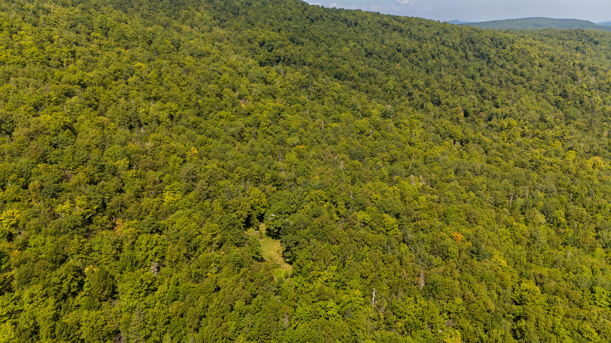 507 Mountain Road Abbot, ME 04406 - Photo 37 of 96 DJI_20240827115602_0669_D