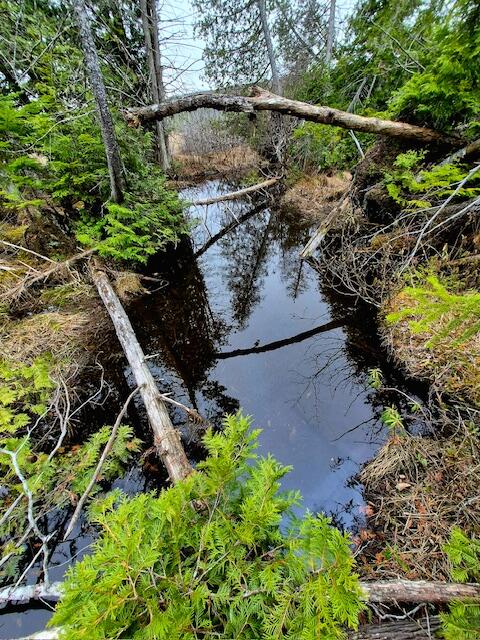 Lot 6 Morrison Brook, Unit ACRES Oakfield, ME 04763 - Photo 1 of 25 6639120386488811690