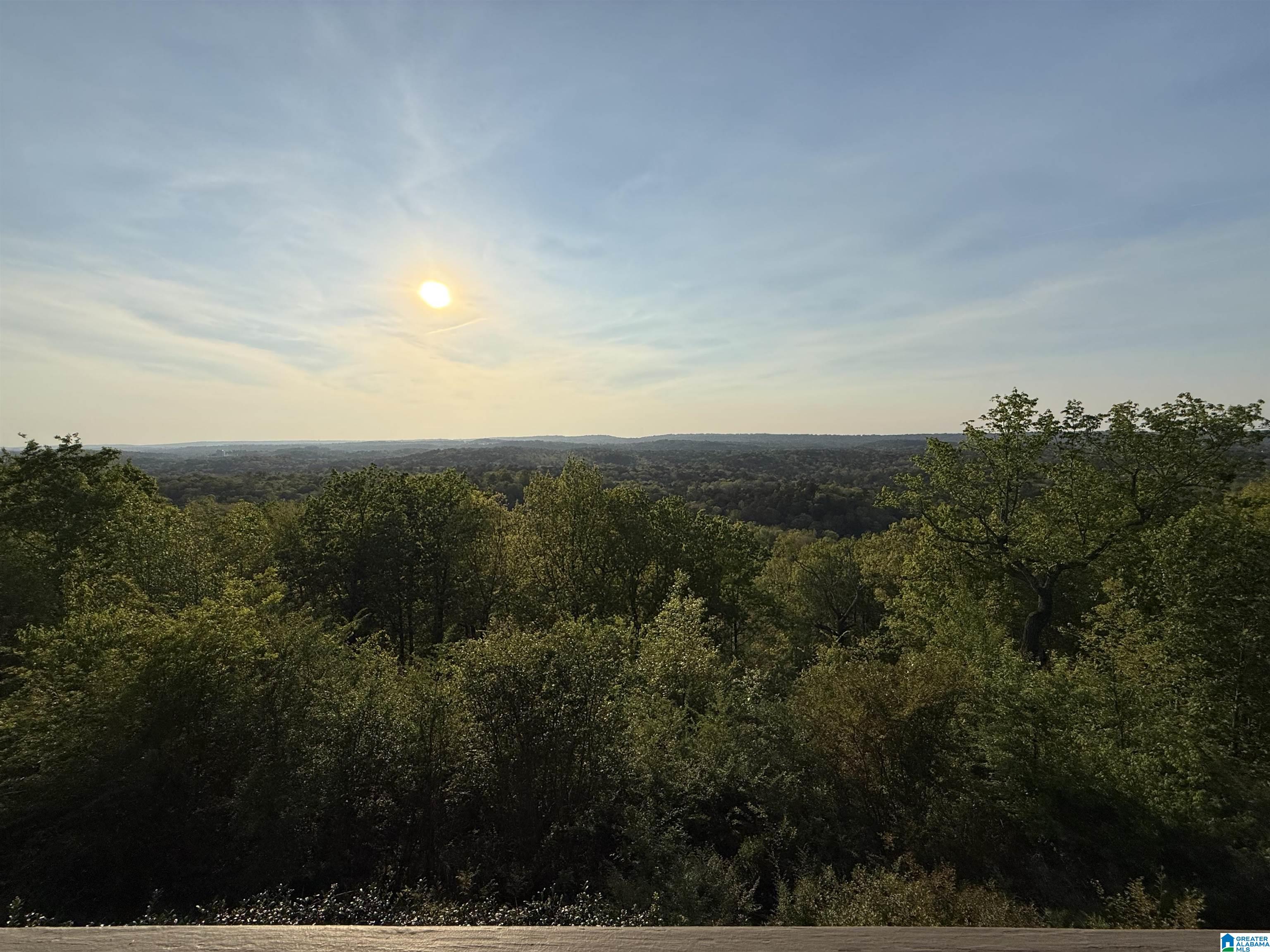 2125 Brook Highland Ridge Birmingham, AL 35242 - Photo 88 of 91