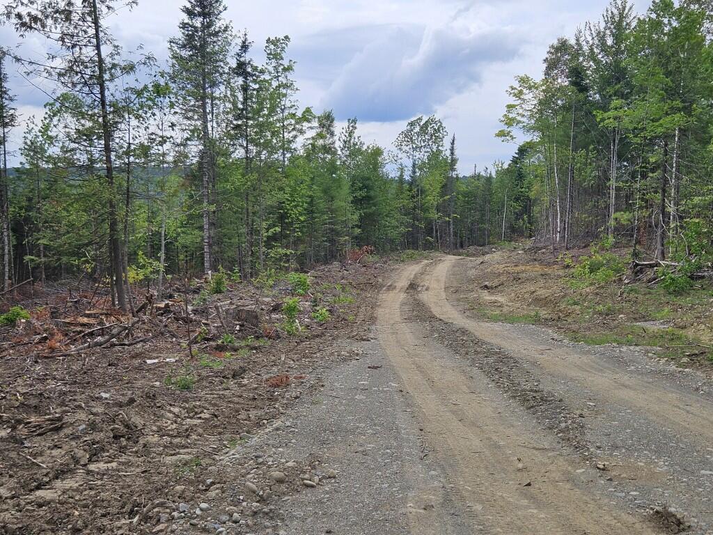 22-03 Rowell Mountain Road Solon, ME 04979 - Photo 17 of 55 20260721_154434