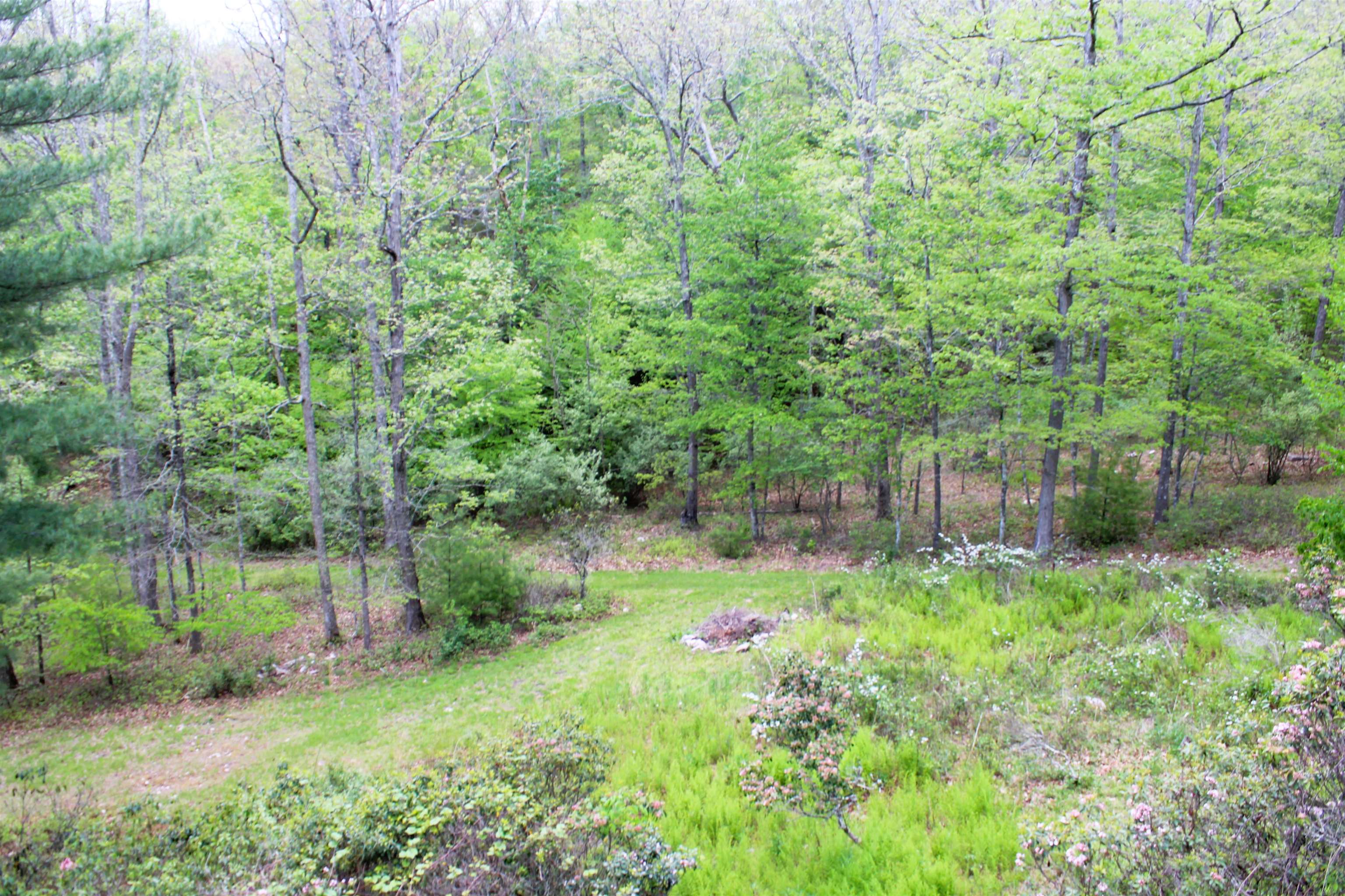 625 Hummingbird Lane Monterey, VA 24465 - Photo 56 of 65 a backyard of a house with lots of green space and garden