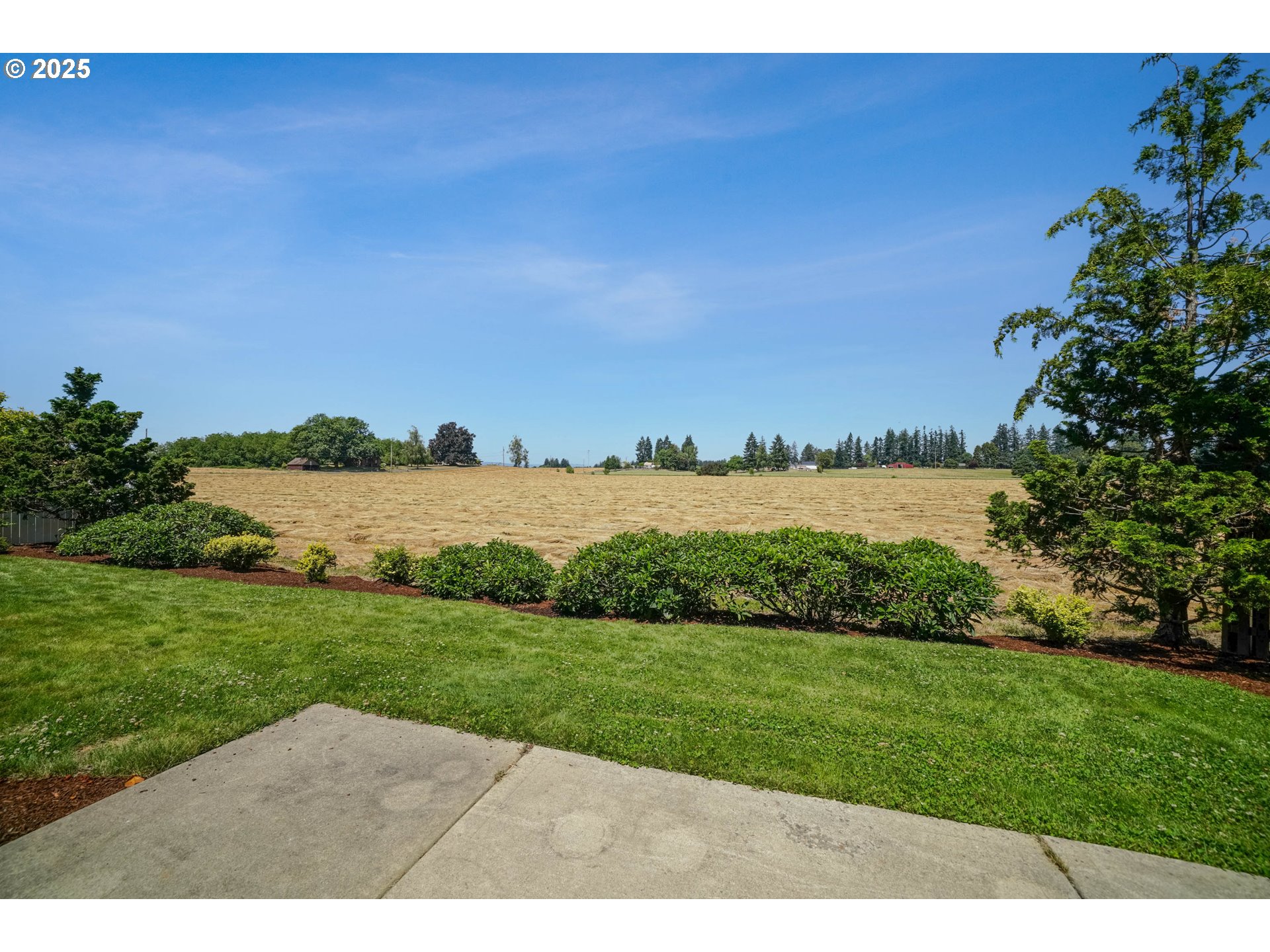 1897 Northeast Lucy Belle Street McMinnville, OR 97128 - Photo 38 of 39 a view of a field with an ocean and trees in the background