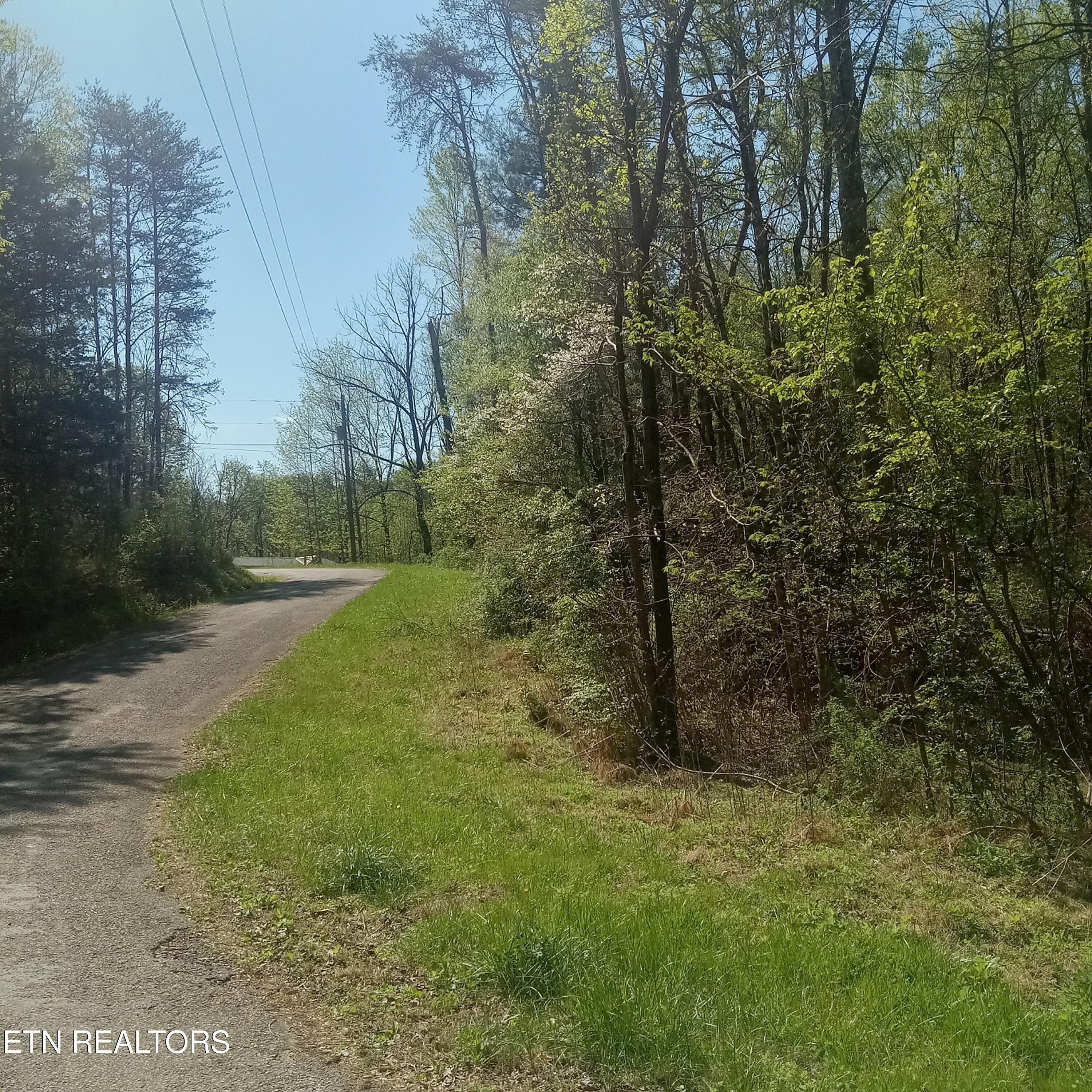 Mountain Road Tellico Plains, TN 37385 - Photo 1 of 6 Resized_20260409_113947