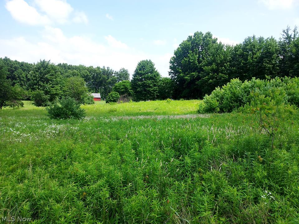 Mock Road Berlin Center, OH 44401 - Photo 2 of 4 Gallery Image 2
