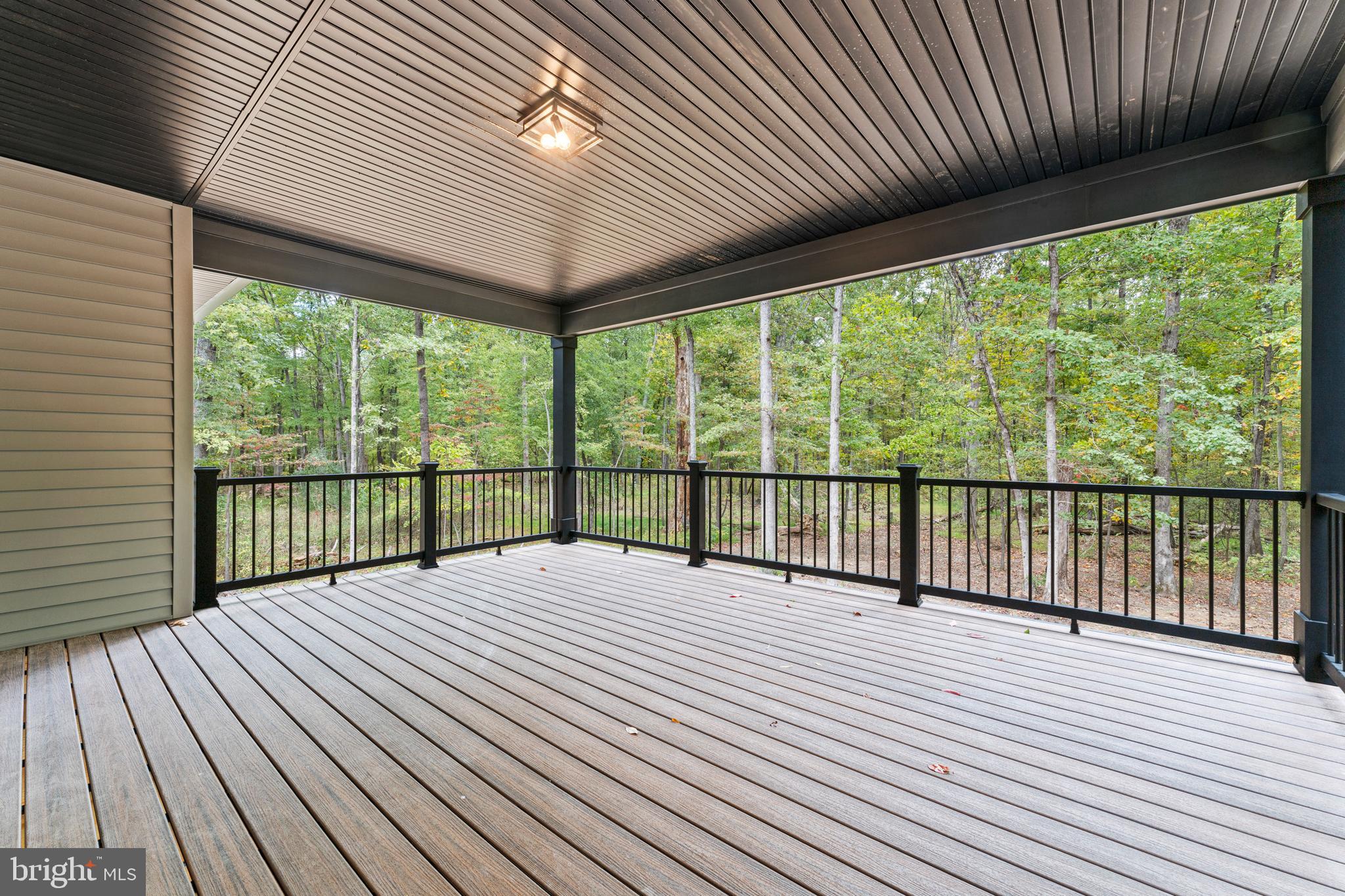 5725 Turner Road Broad Run, VA 20137 - Photo 11 of 57 TREX Decking!