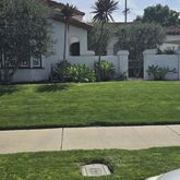 a view of a back yard