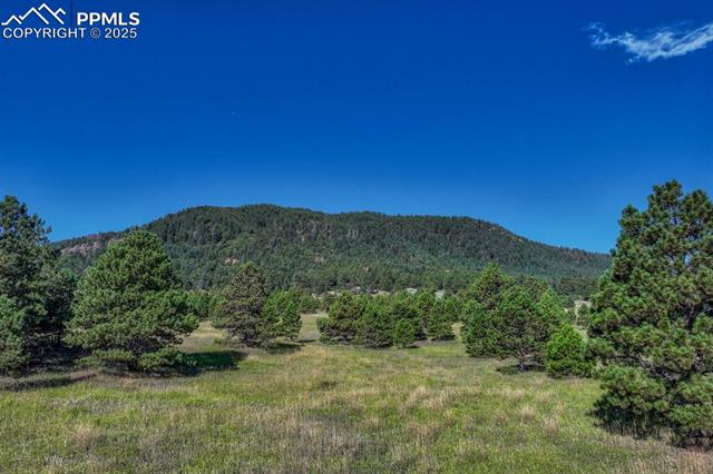 Perry Park Road Larkspur, CO 80118 - Photo 44 of 50 Gallery Image 44