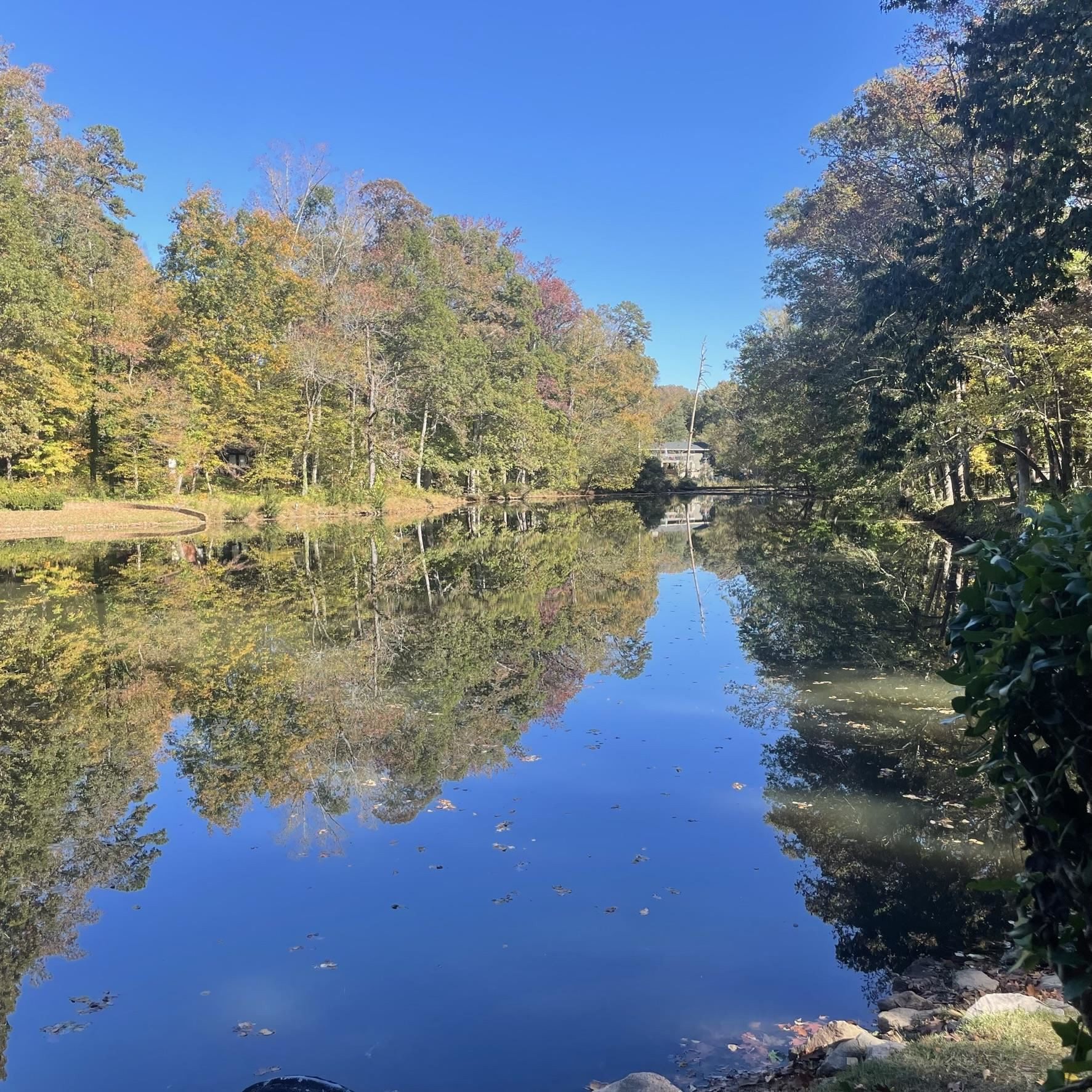 2300 Kilburn Road Raleigh, NC 27604 - Photo 38 of 42 a view of a pathway with outside space
