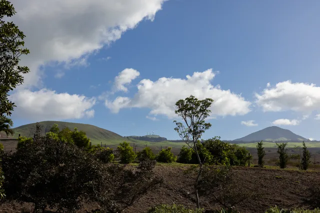 a kitchen with stainless steel appliances a sink dishwasher and a refrigerator with wooden floor