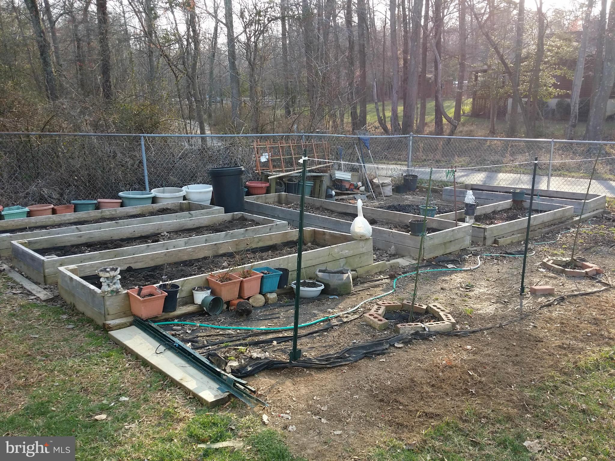 5905 Bicknell Road Indian Head, MD 20640 - Photo 7 of 9 Raised bed gardens