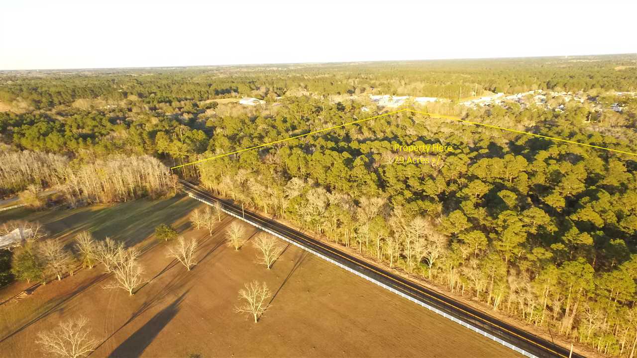24570 Miflin Road Elberta, AL 36530 - Photo 4 of 15