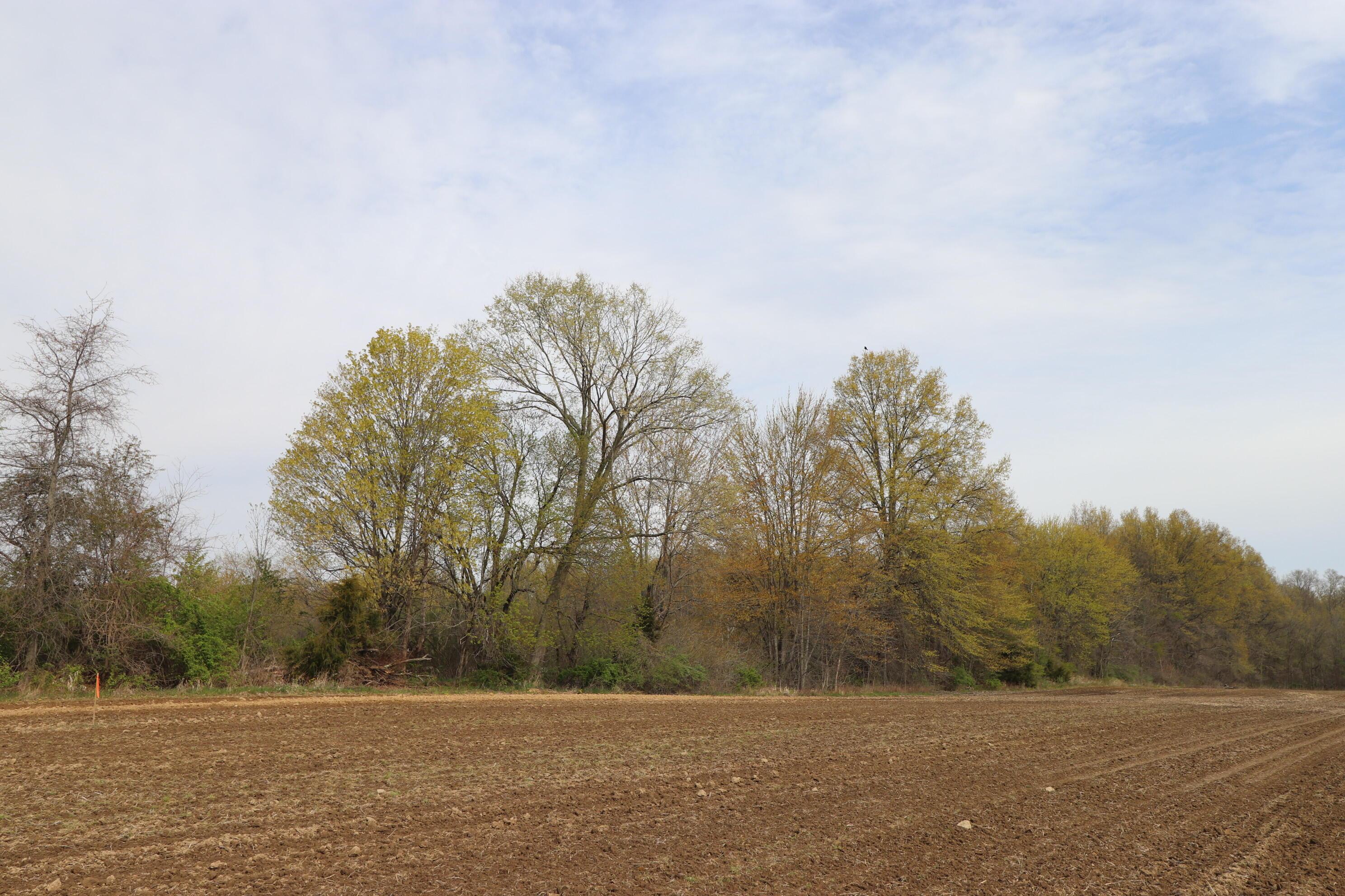 1 Kilbourne Road Sunbury, OH 43074 - Photo 4 of 5