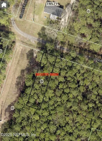 a view of a yard with a tree