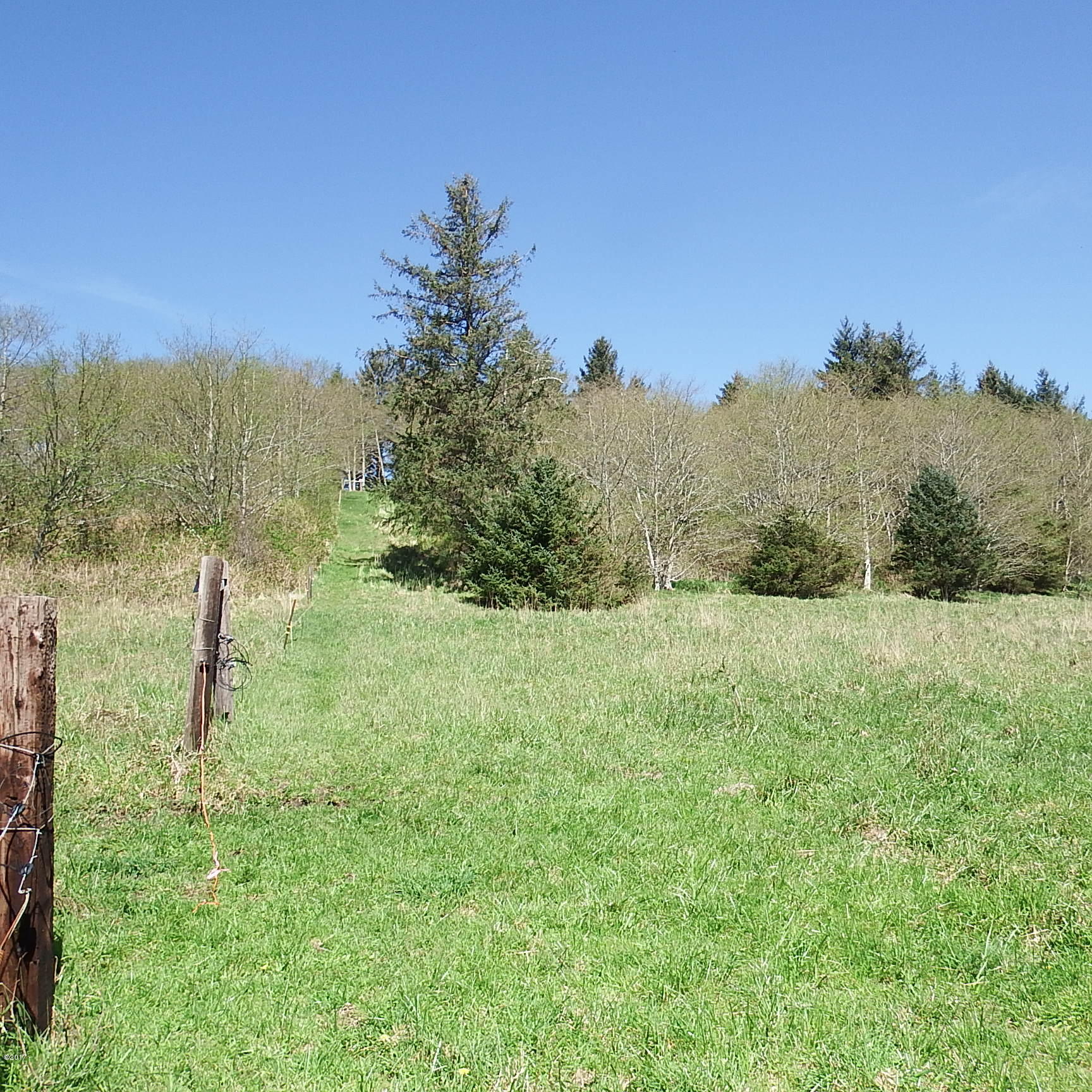 6205 Scherzinger Road Neskowin, OR 97149 - Photo 75 of 88 Pasture West Property Line
