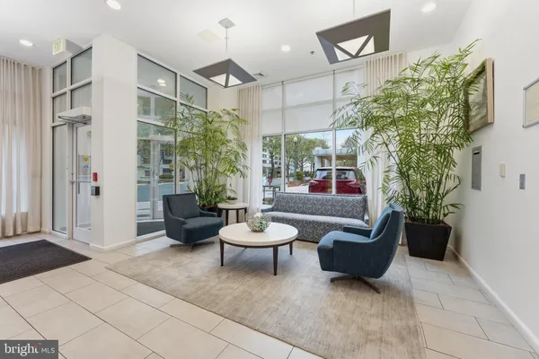 a living room with furniture and a potted plant