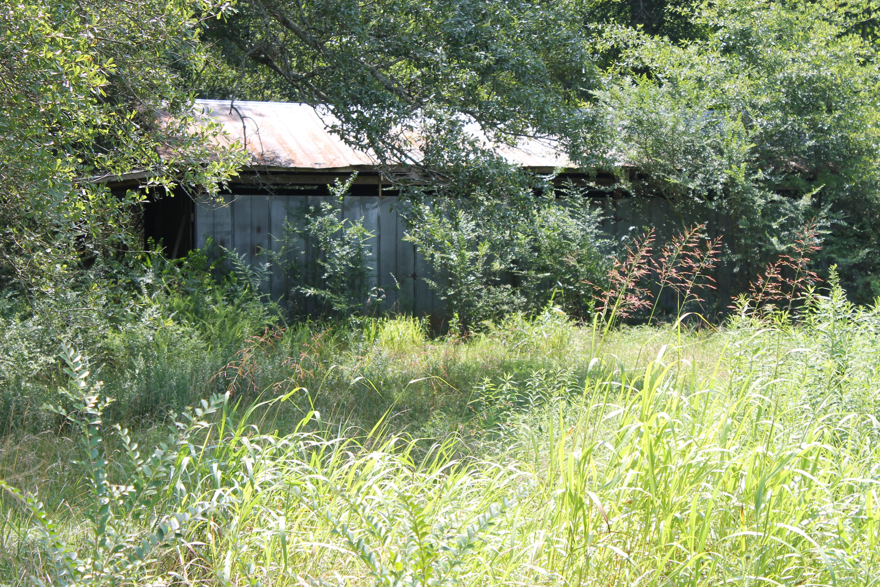 1224 Reynolds Bridge Road Benton, TN 37307 - Photo 28 of 31 IMG_1779