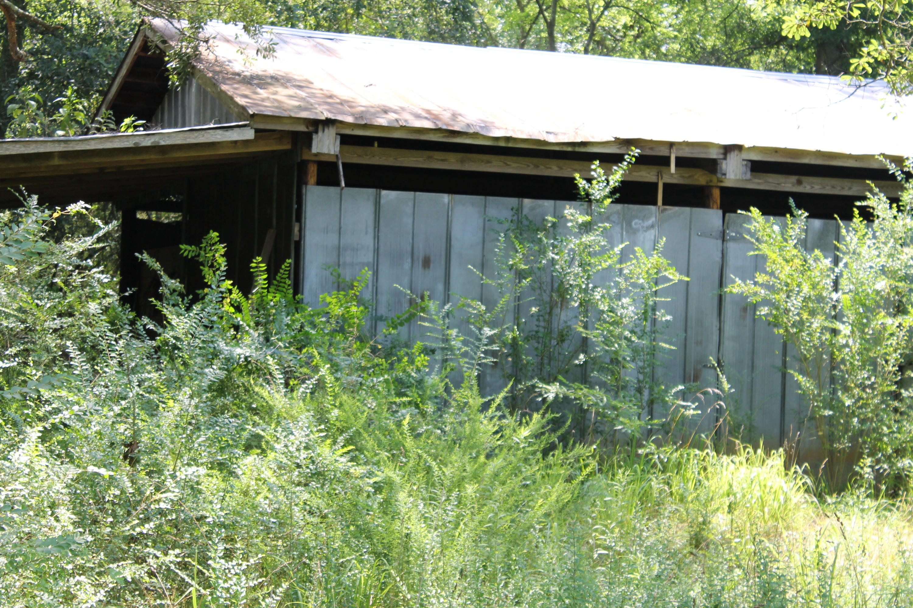 1224 Reynolds Bridge Road Benton, TN 37307 - Photo 31 of 31 IMG_1782