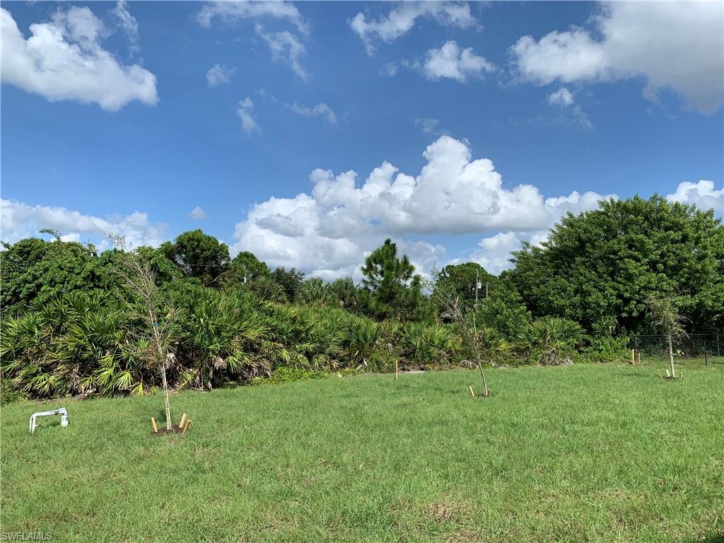 8388 Delong Avenue North Port, FL 34291 - Photo 7 of 21 a view of a big yard with potted plants and large tree