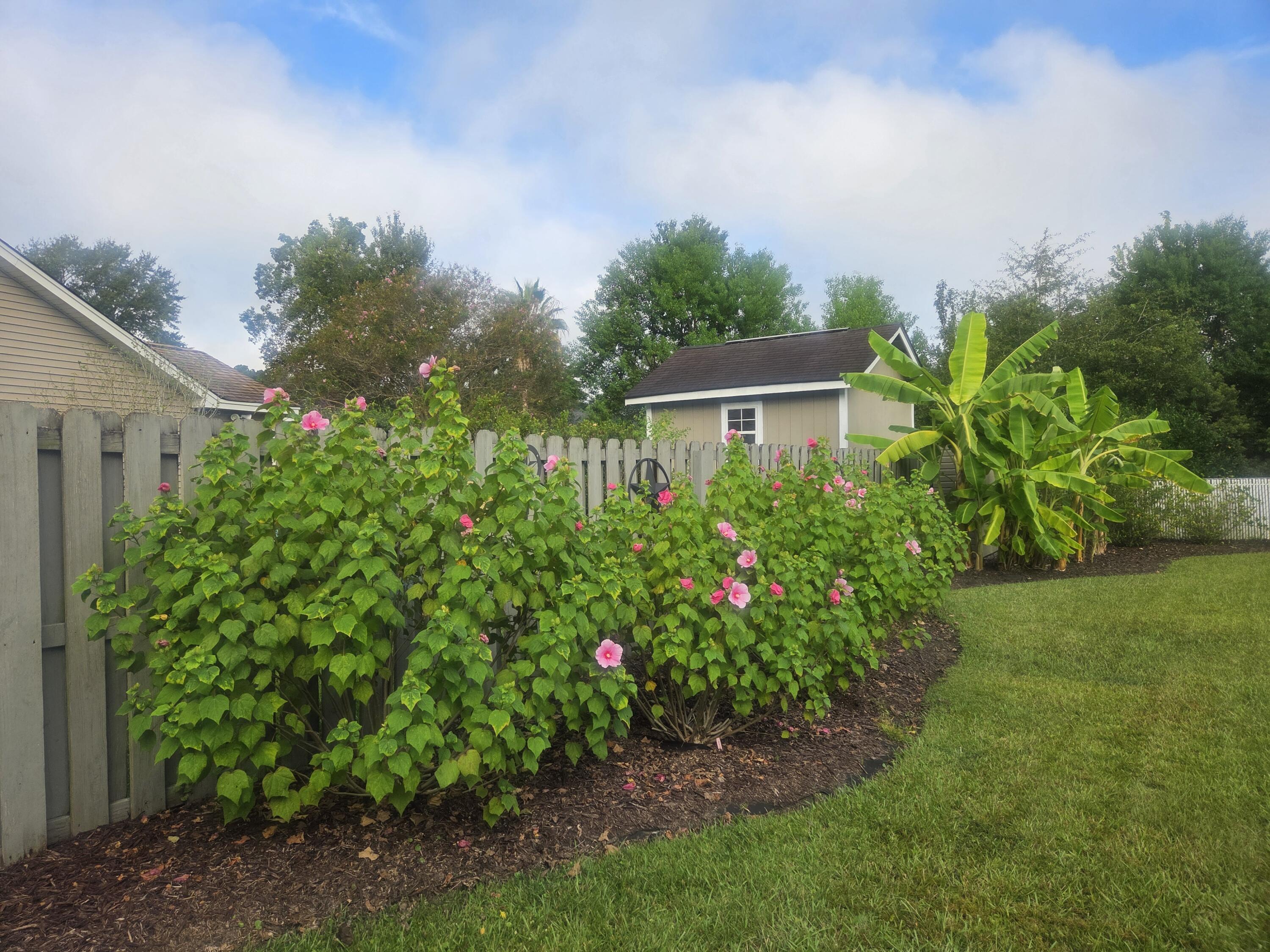 201 Ash Court Summerville, SC 29486 - Photo 46 of 54 20250922_090154