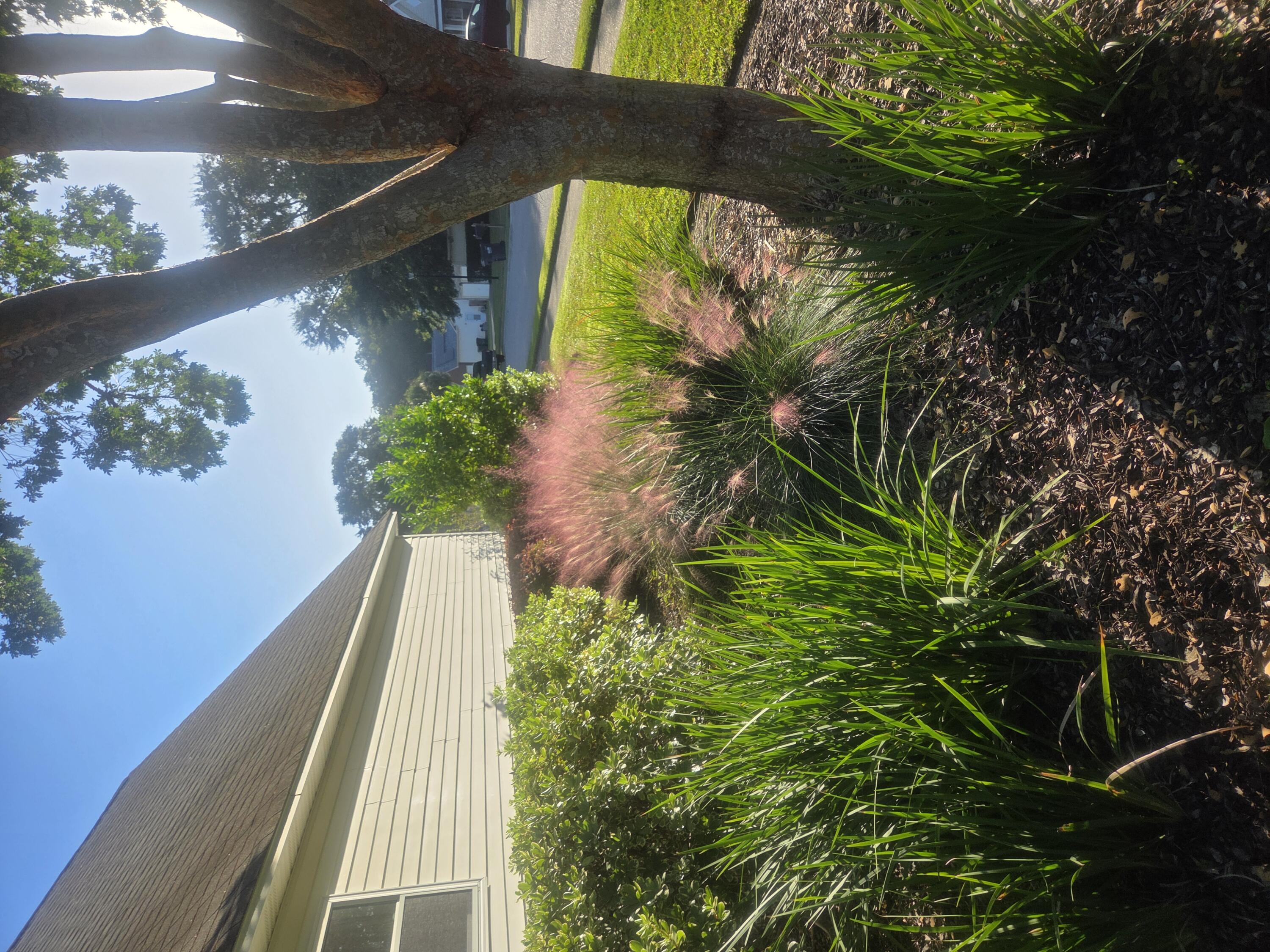 201 Ash Court Summerville, SC 29486 - Photo 47 of 54 20250923_083243