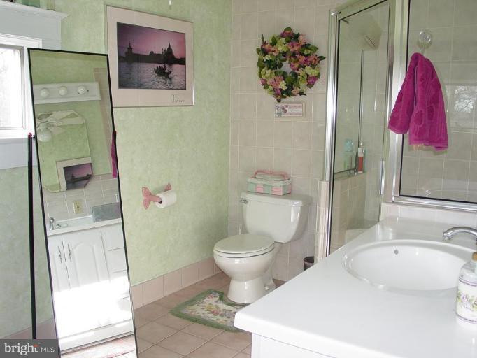 6011 Sycamore Road Baltimore, MD 21212 - Photo 14 of 25 master bath