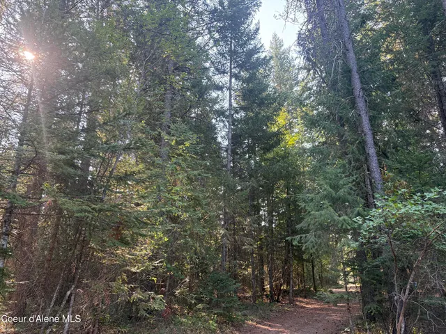 $475,000 | 10 East ) Road, Athol, ID 83801