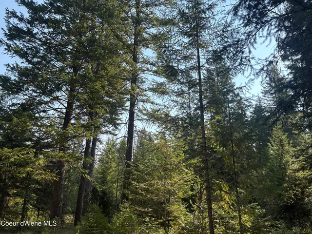 $475,000 | 10 East ) Road, Athol, ID 83801