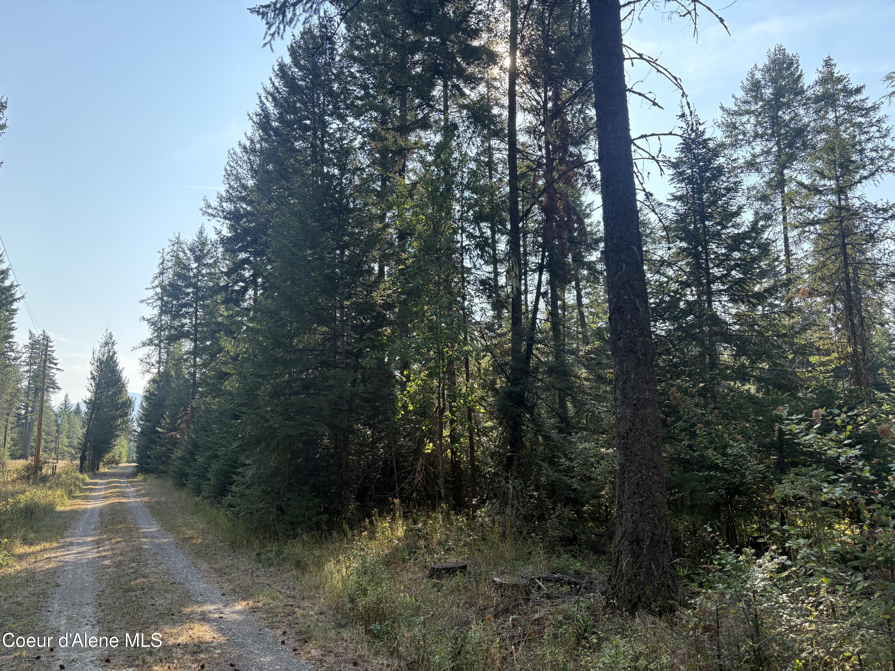 10 East ) Road Athol, ID 83801 - Photo 17 of 21 Mature Trees