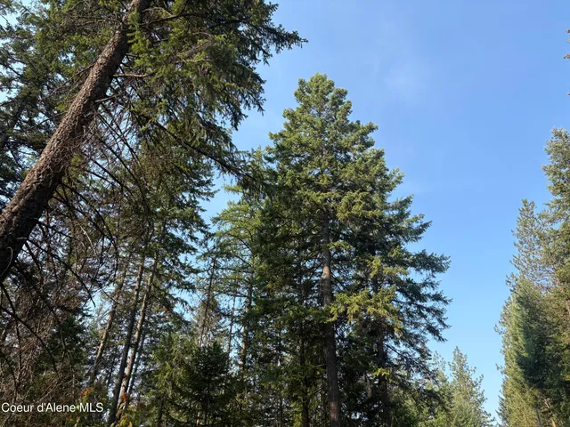 $475,000 | 10 East ) Road, Athol, ID 83801