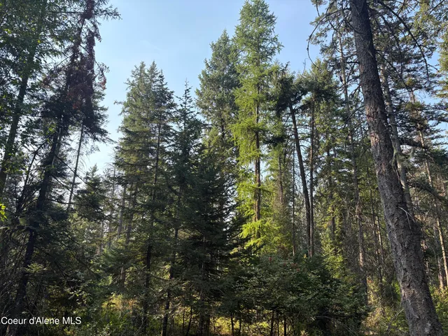 $475,000 | 10 East ) Road, Athol, ID 83801