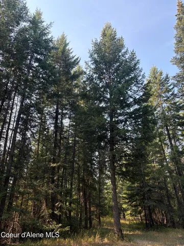 $475,000 | 10 East ) Road, Athol, ID 83801