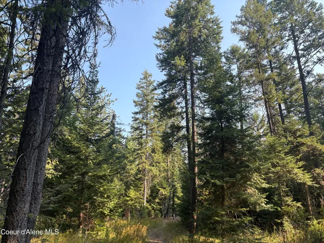 $475,000 | 10 East ) Road, Athol, ID 83801