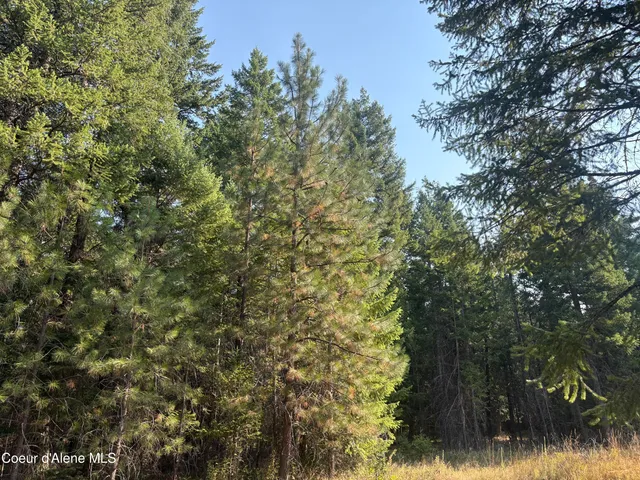 $475,000 | 10 East ) Road, Athol, ID 83801