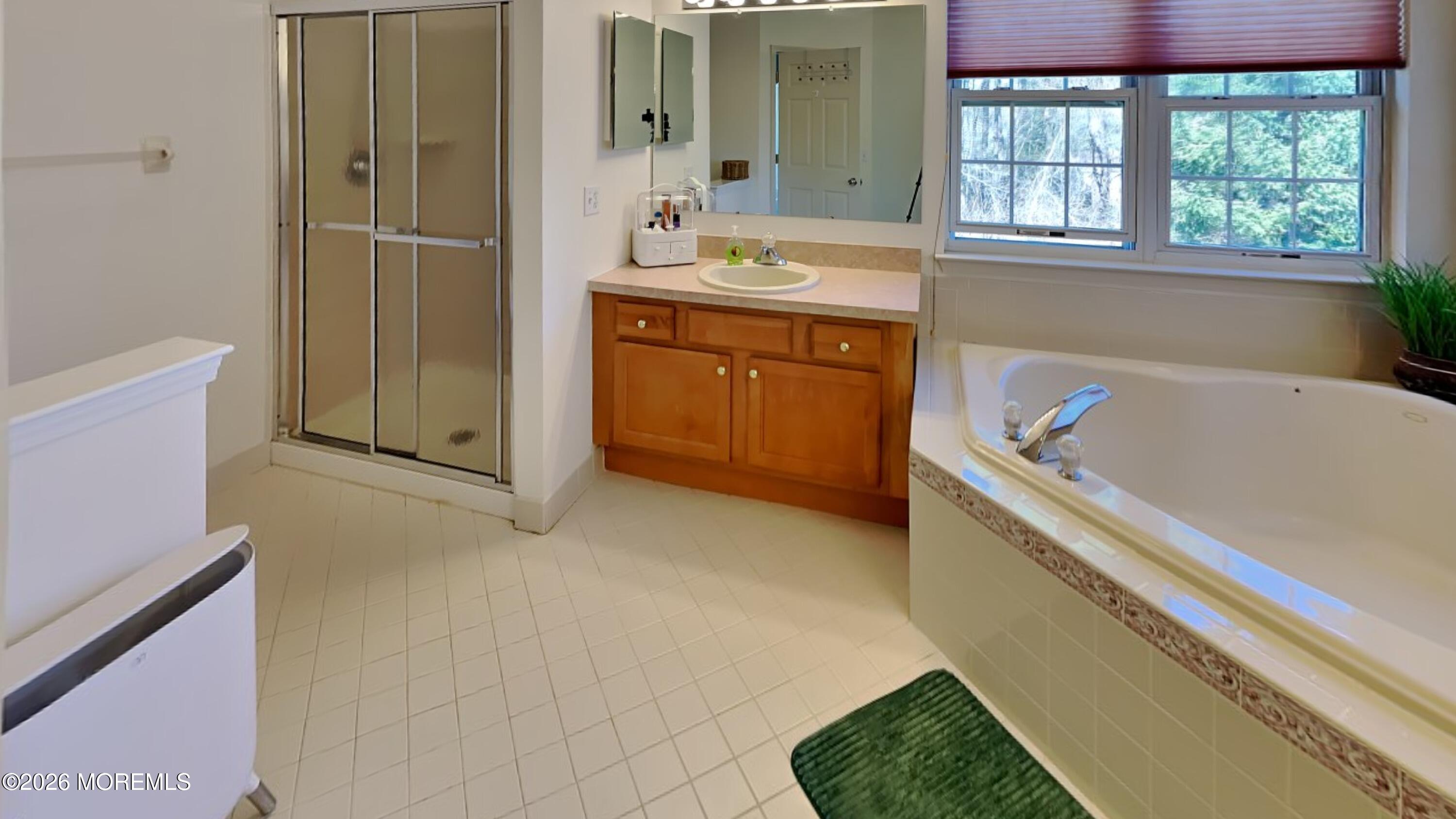 33 Mill Pond Road Jackson, NJ 08527 - Photo 34 of 49 a bathroom with a tub sink and mirror