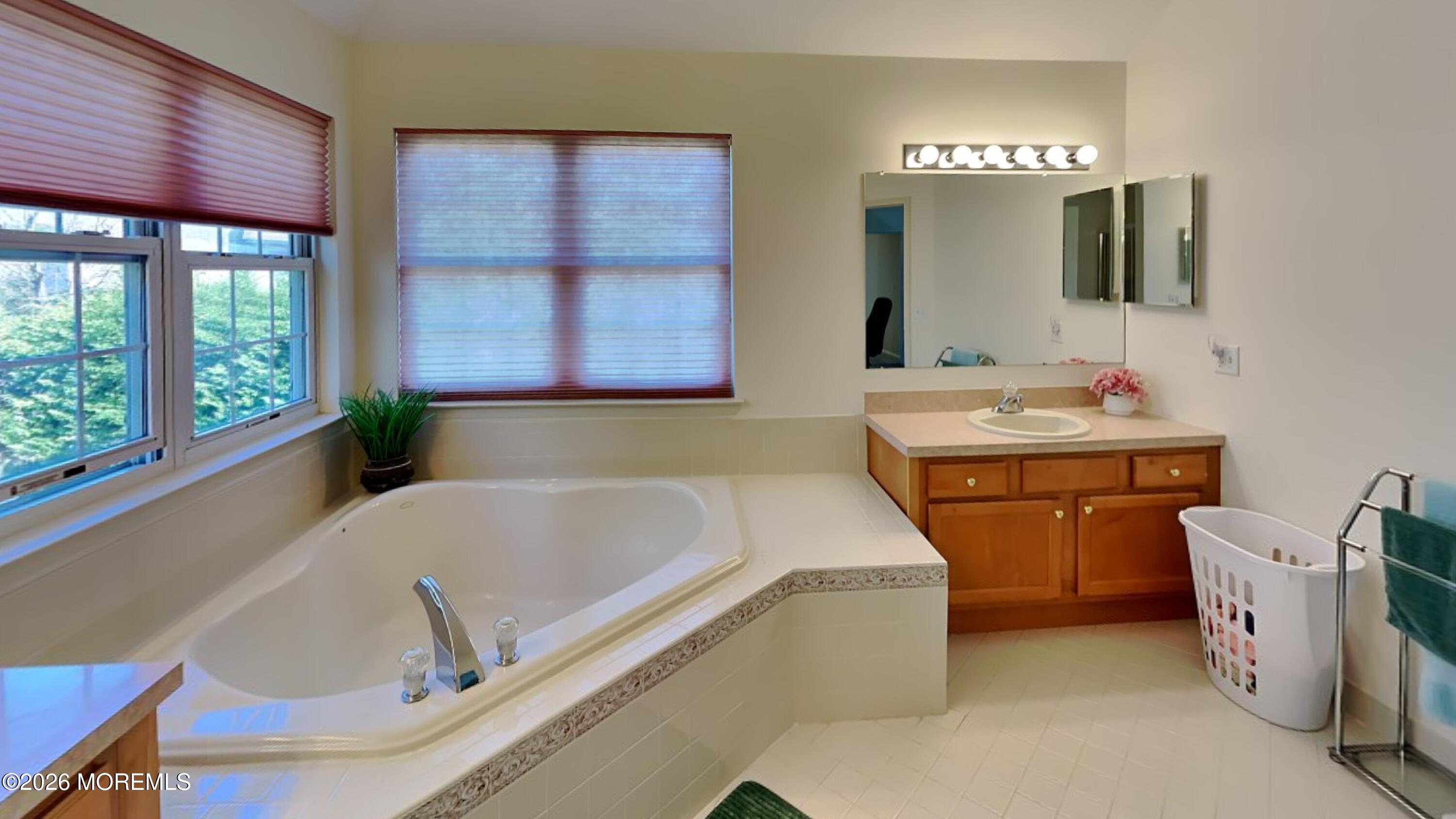 33 Mill Pond Road Jackson, NJ 08527 - Photo 35 of 49 a bathroom with a sink and a bathtub