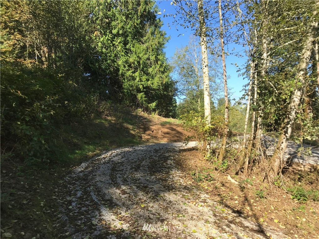 0 176th Place Southeast Sultan, WA 98294 - Photo 12 of 22