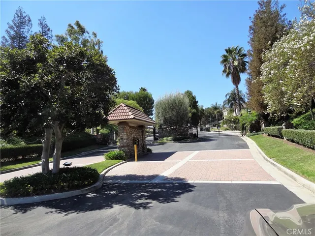 a view of a park with plants and trees