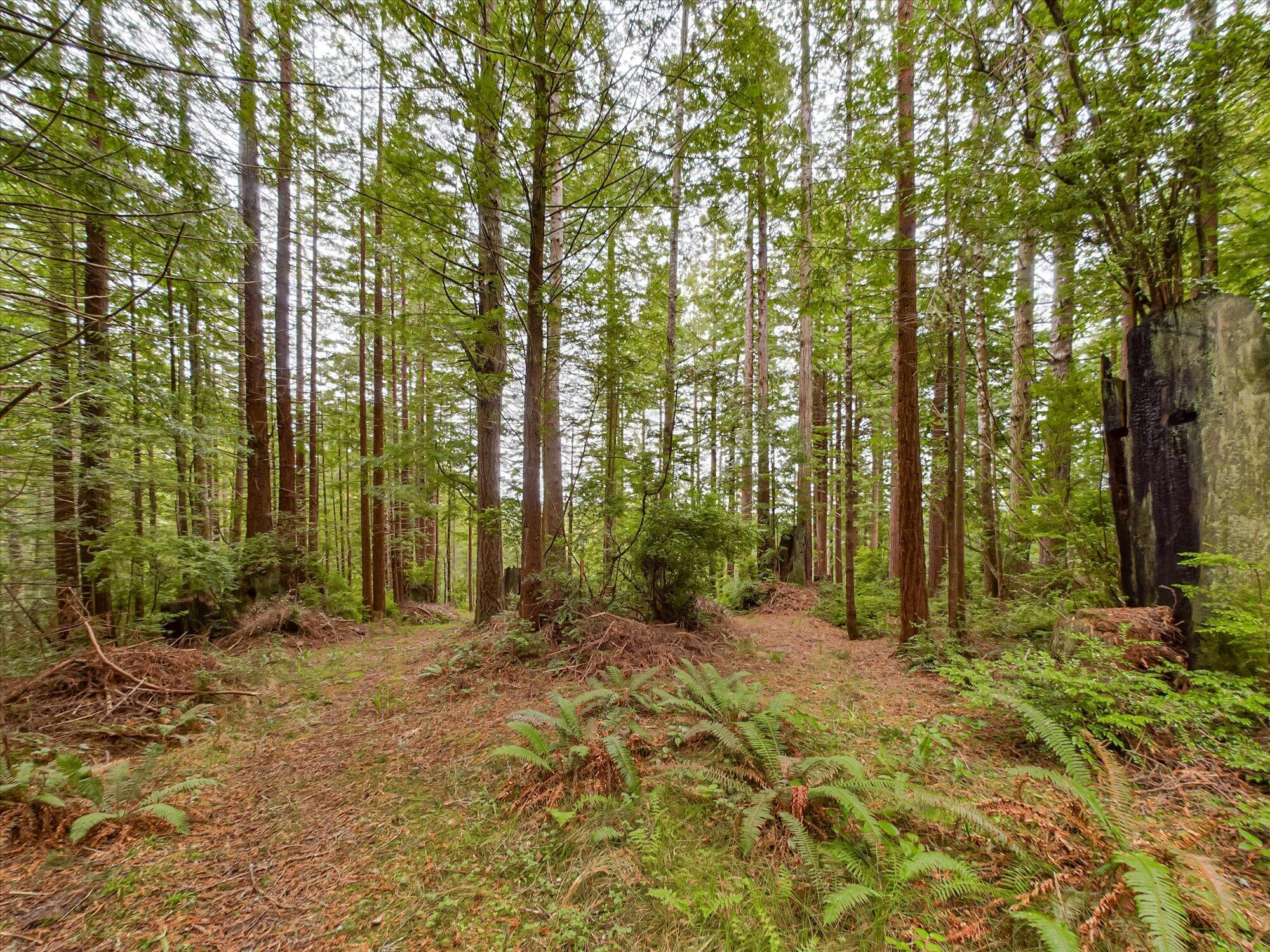 355 Redmond Road Eureka, CA 95503 - Photo 37 of 39